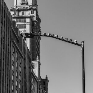 Concrete jungle by Camille Massida Photography